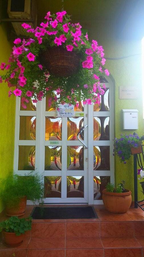 Mîndruloc Motel Ioanis מראה חיצוני תמונה