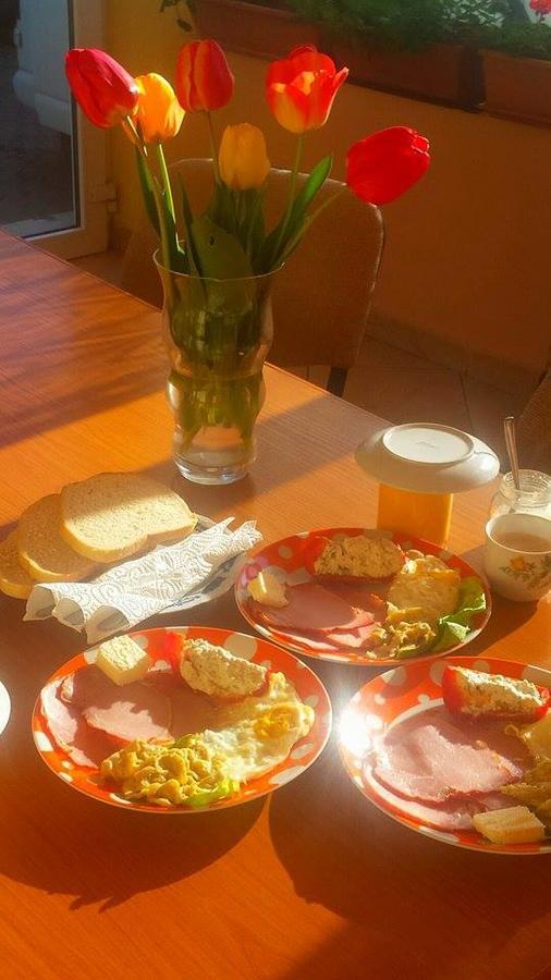 Mîndruloc Motel Ioanis מראה חיצוני תמונה