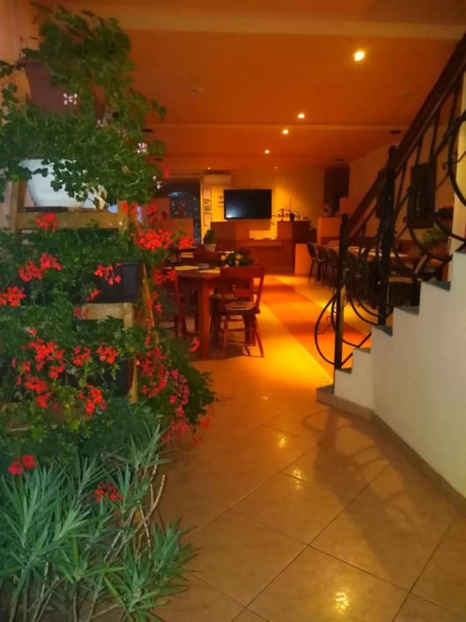 Mîndruloc Motel Ioanis מראה חיצוני תמונה